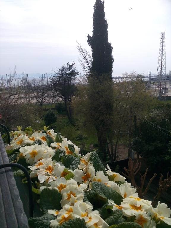 Pendik Marine Hotel Стамбул Экстерьер фото